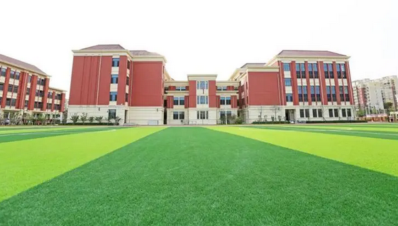 492ae432e6ceb8a14d8aded551517f9d_172742009801449c 492ae432e6ceb8a14d8aded551517f9d_172742009801449c